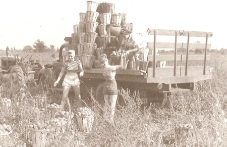 Girl Farmers in the 1940s