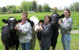 Farm Gils with Cows